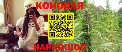 стаф Кунгур