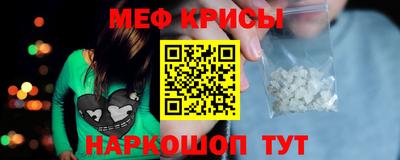 стаф Кунгур