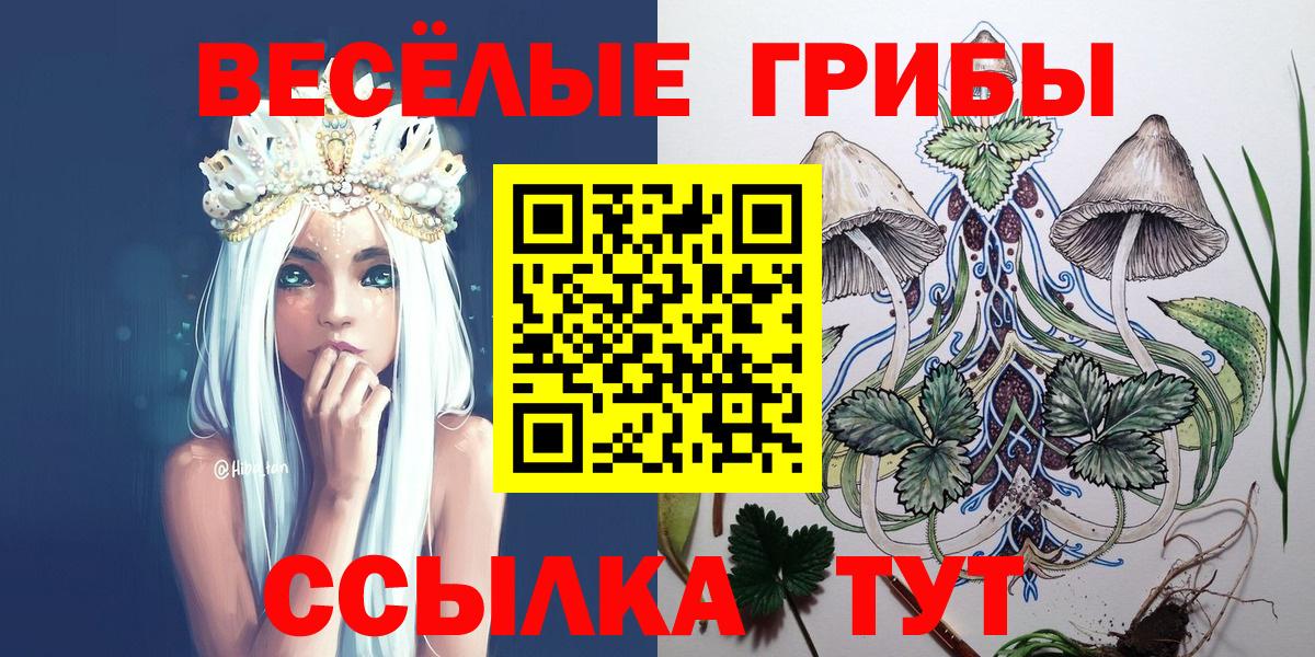 МЕФ Ижевск